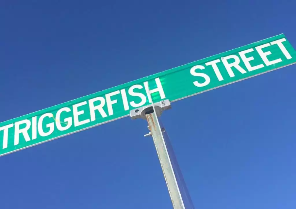 Welcome to Triggerfish Street